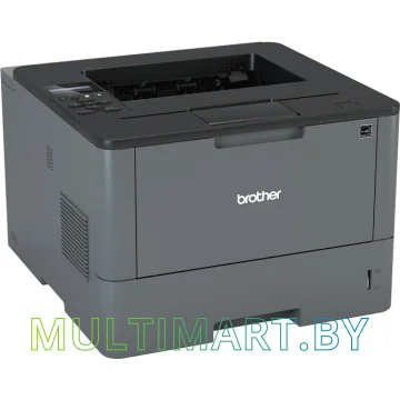 Принтер Brother HL-L5100DN картинка 3